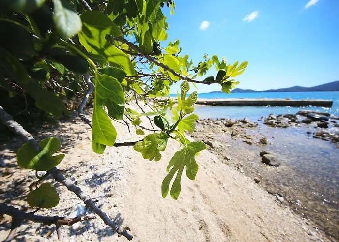 Hébergement de vacances Mobile Frangipani 4 Biograd Na Moru